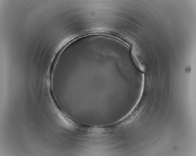 X0000090921034200708131429