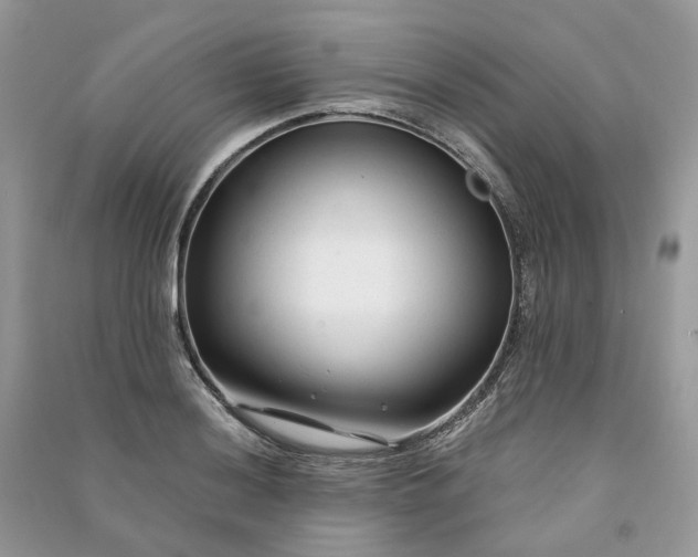 X0000090921036200708131429