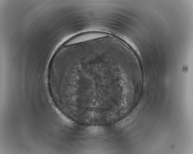X0000090921037200708131429