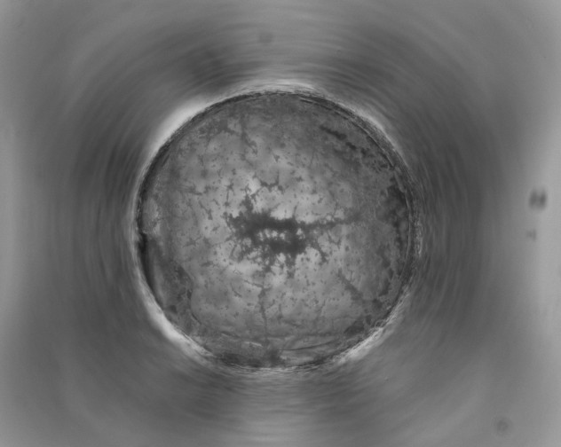 X0000090921038200708131429