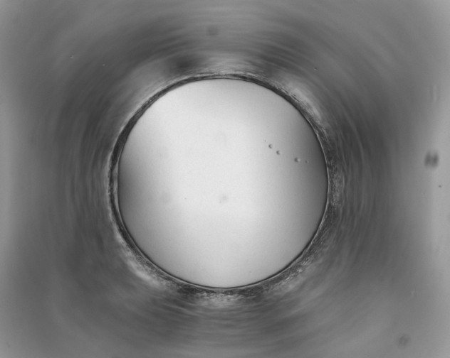 X0000090921039200708131429