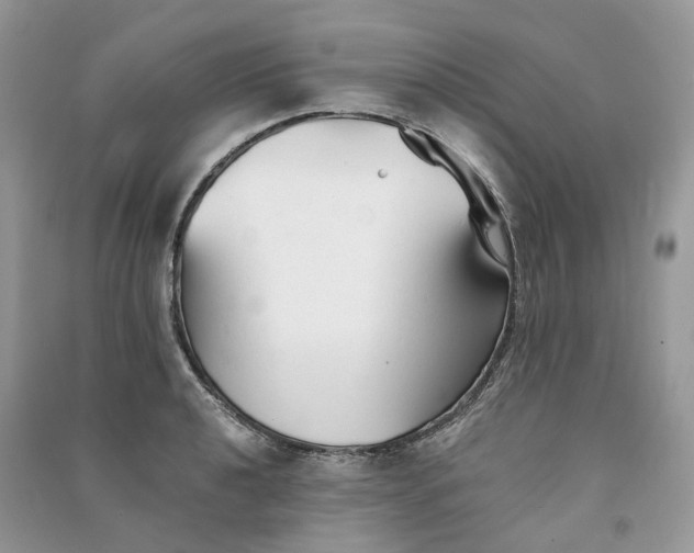 X0000090921040200708131429