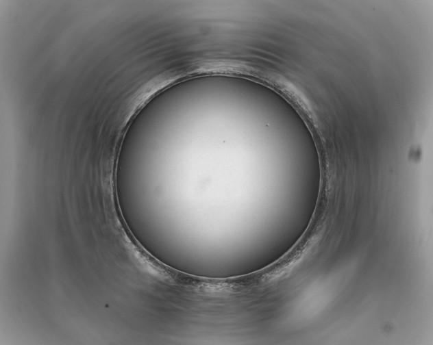 X0000090921041200708131429