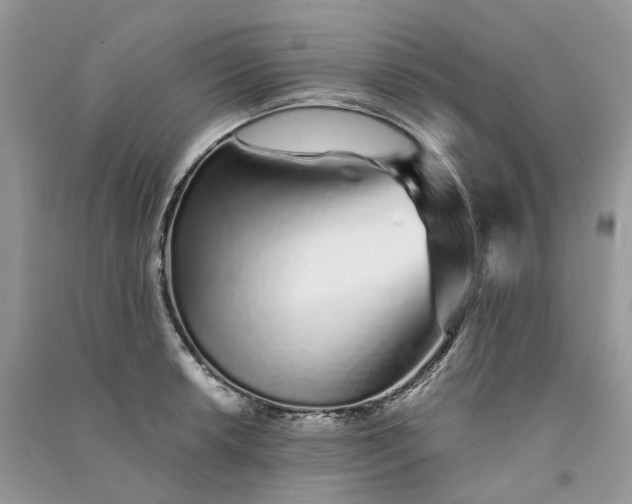 X0000090921042200708131429