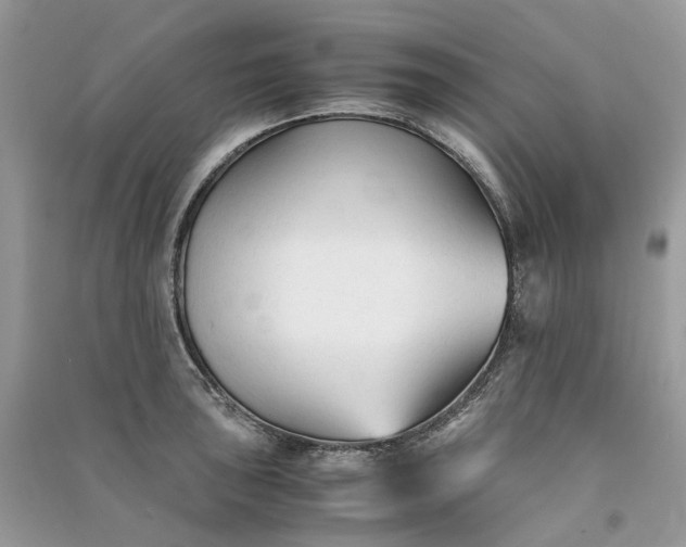 X0000090921043200708131429