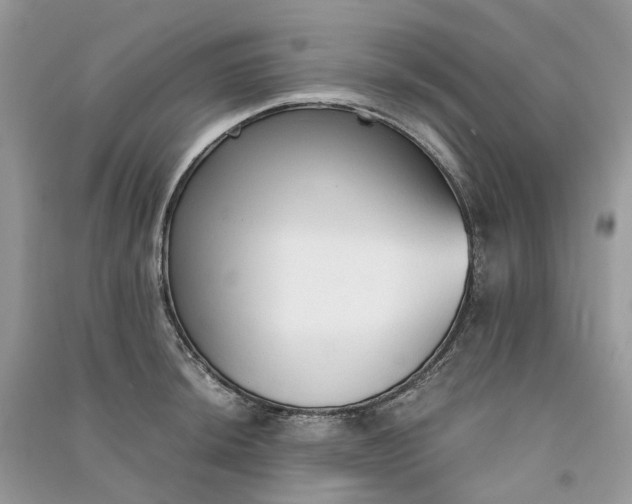 X0000090921044200708131429