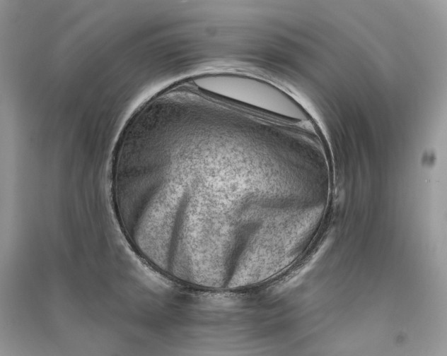 X0000090921045200708131429