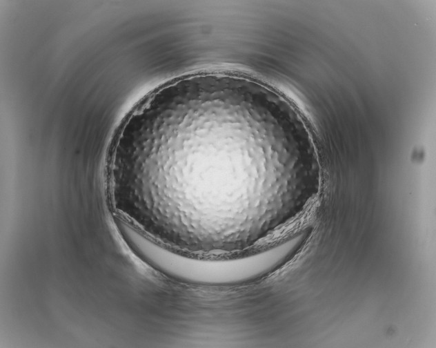 X0000090921046200708131429