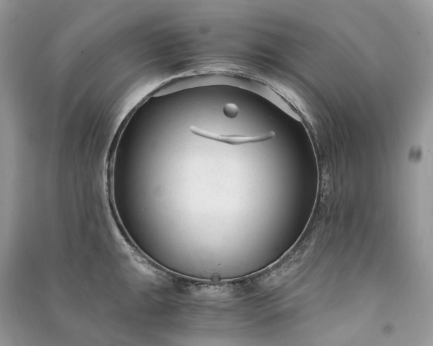 X0000090921047200708131429