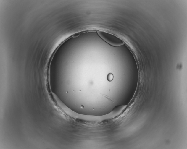 X0000090921048200708131429