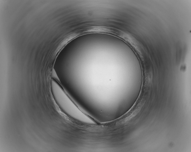 X0000090921049200708131429