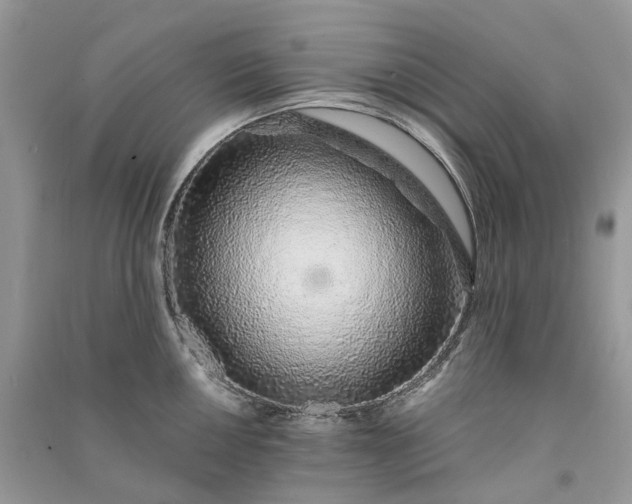 X0000090921050200708131429