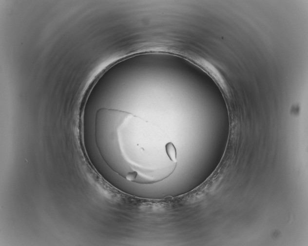 X0000090921051200708131429