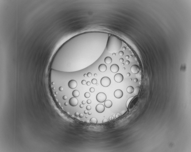 X0000090921053200708131429