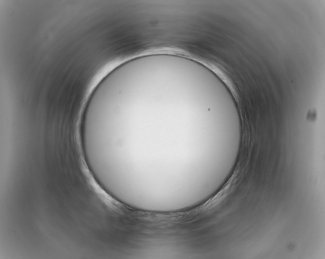 X0000090921054200708131429