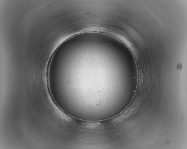 X0000090921055200708131429