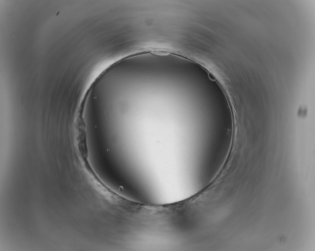 X0000090921056200708131429