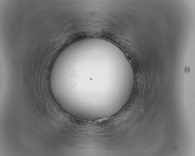 X0000090921057200708131428