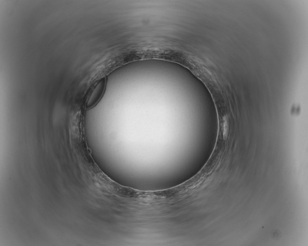 X0000090921059200708131428