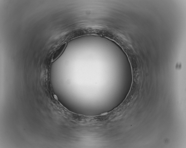 X0000090921061200708131428