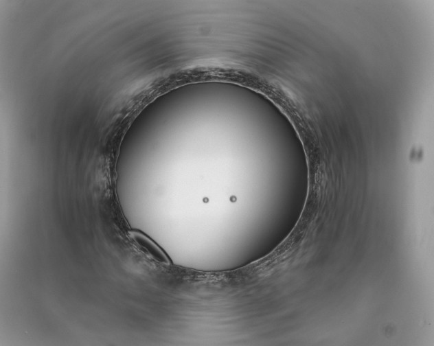 X0000090921062200708131428