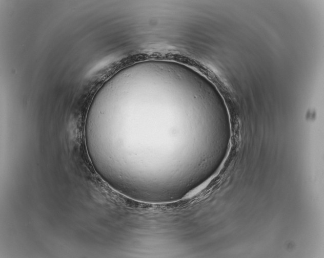 X0000090921063200708131428