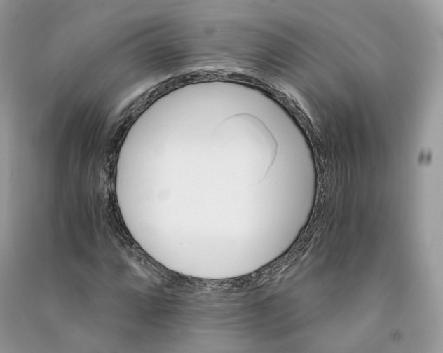 X0000090921064200708131428