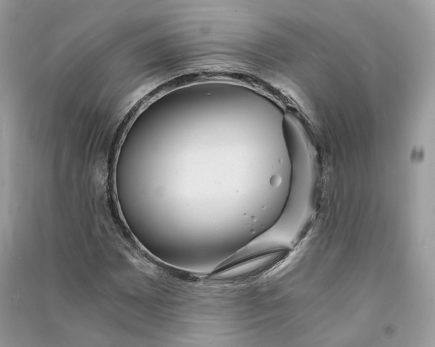 X0000090921065200708131428