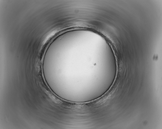 X0000090921067200708131428