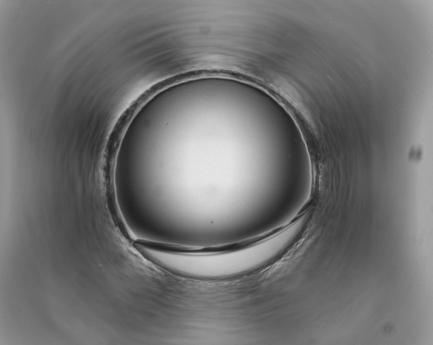 X0000090921068200708131428