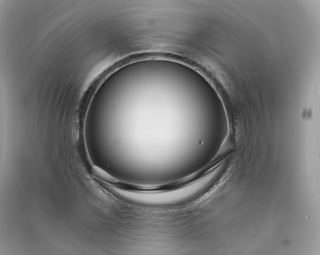 X0000090921069200708131428