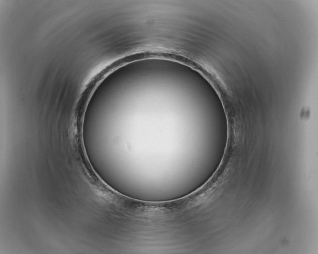 X0000090921070200708131428