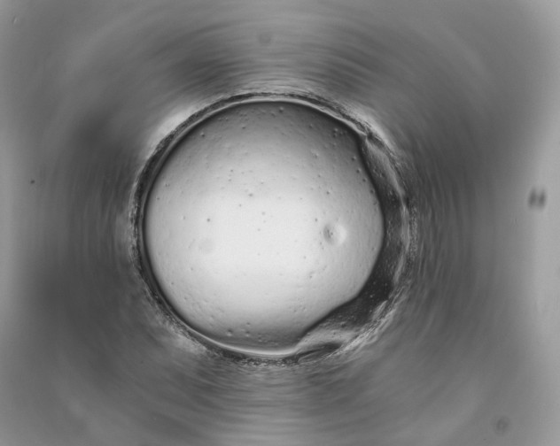 X0000090921071200708131428