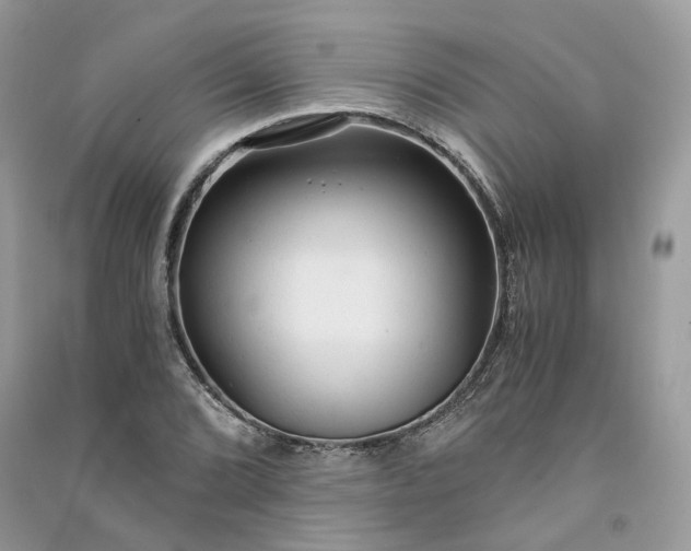 X0000090921072200708131428