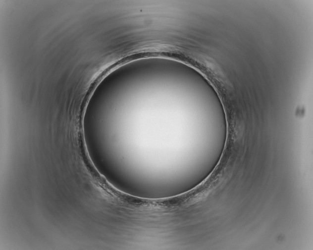 X0000090921073200708131428