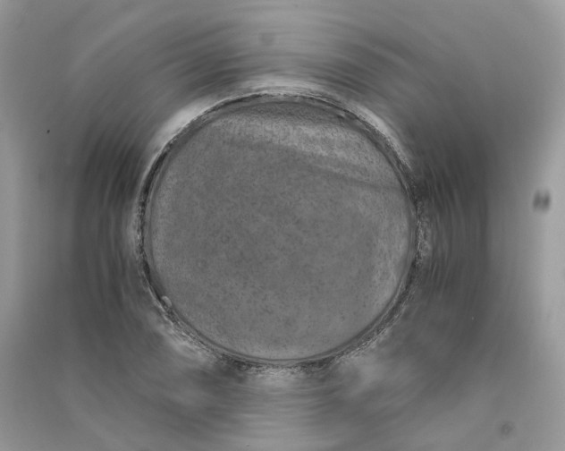 X0000090921074200708131428