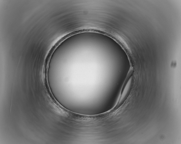 X0000090921076200708131428