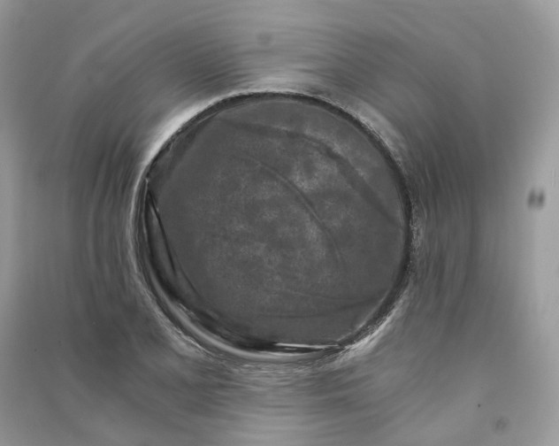 X0000090921077200708131428