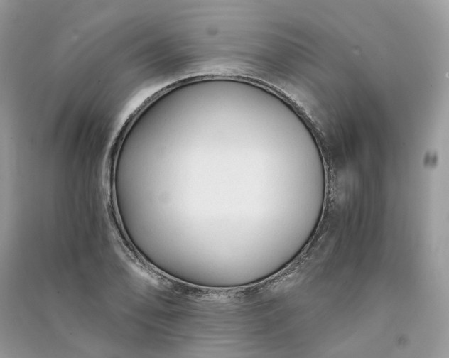 X0000090921078200708131428