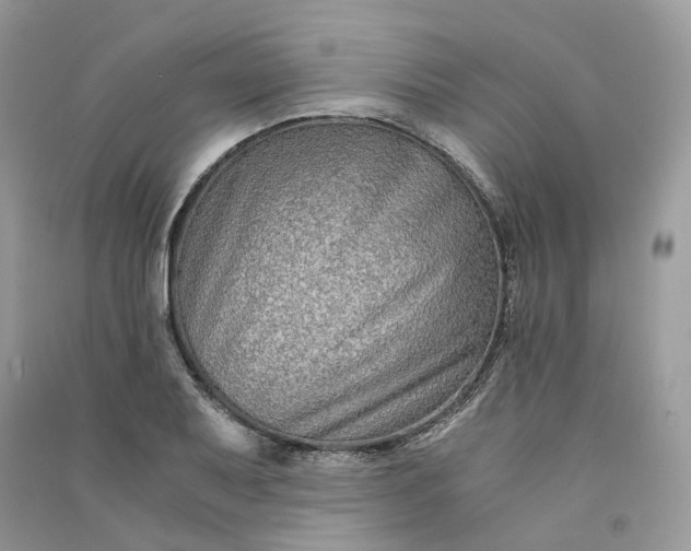 X0000090921079200708131428