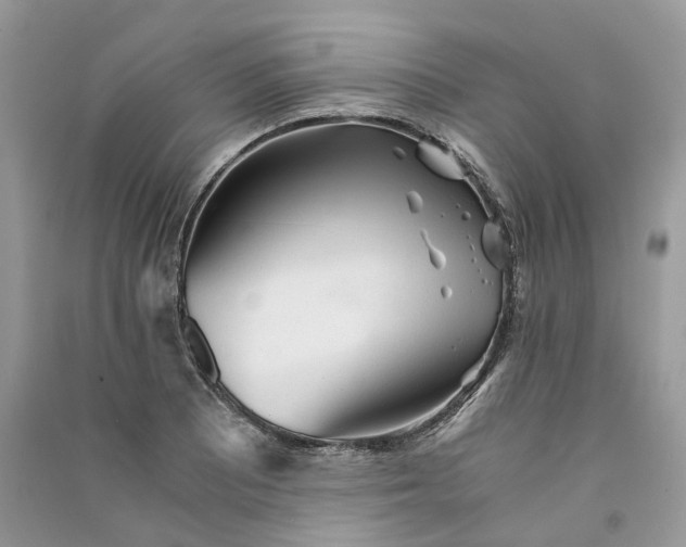 X0000090921081200708131428