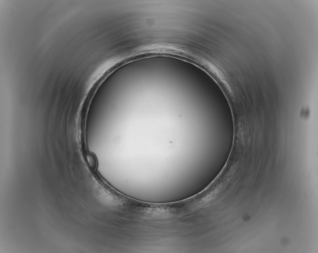 X0000090921082200708131428