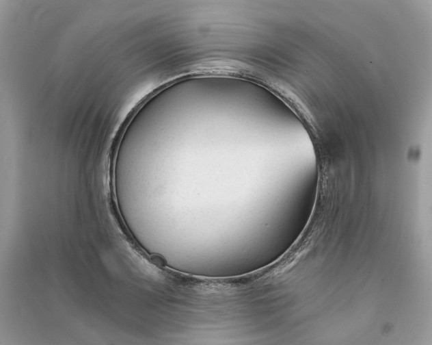 X0000090921083200708131428