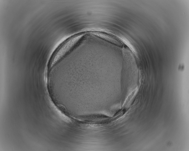 X0000090921084200708131428