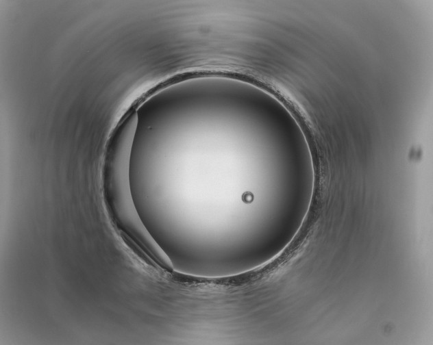 X0000090921085200708131428