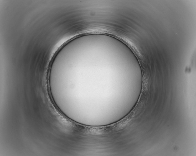 X0000090921086200708131428