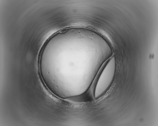 X0000090921087200708131428