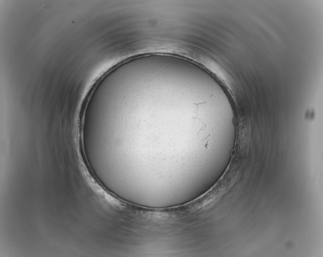 X0000090921088200708131428