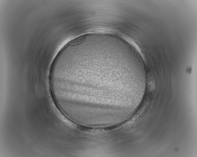 X0000090921091200708131428