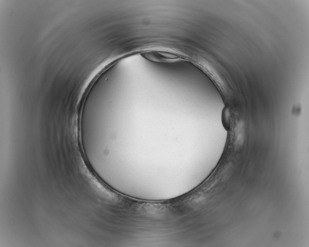 X0000090921092200708131428